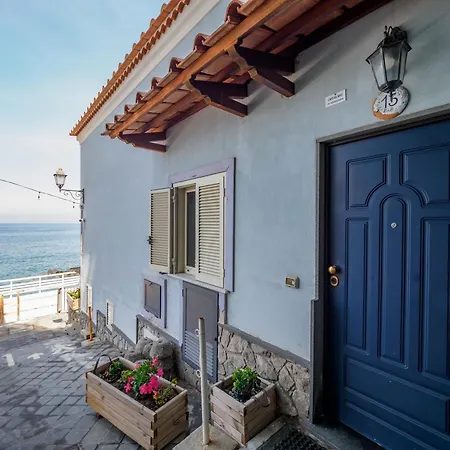 De Vivo Realty - Captain Mike Apartment
